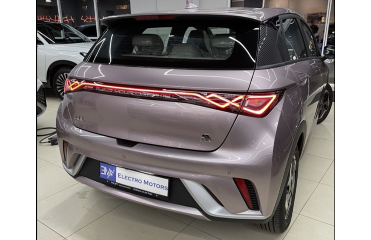 BYD DOLPHIN FASHION
