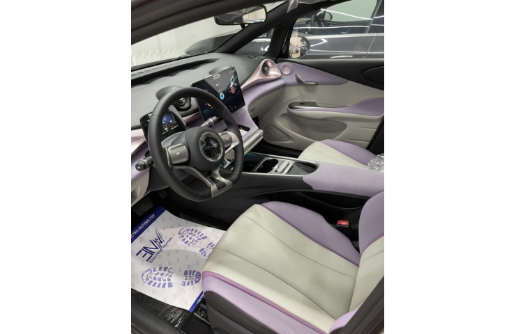 BYD DOLPHIN FASHION