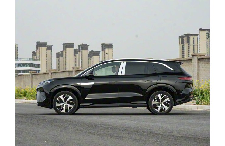 BYD Tang L DM 4WD 175km top