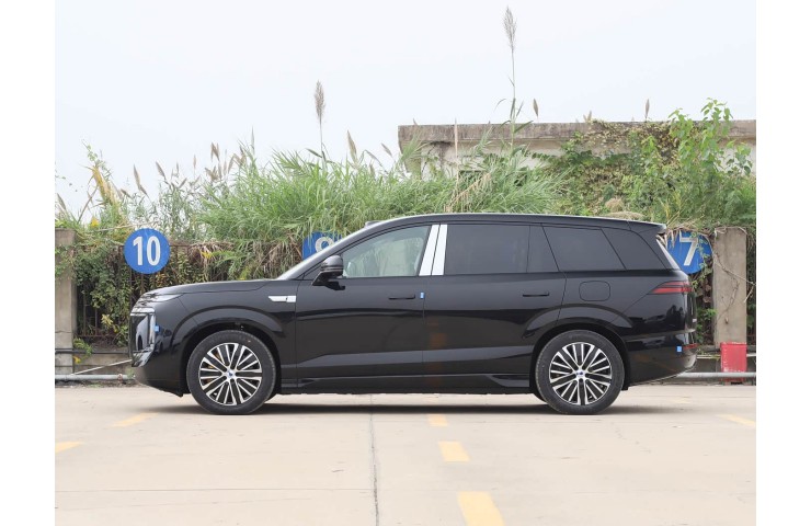 DENZA N8L 230KM FLAGSHIP