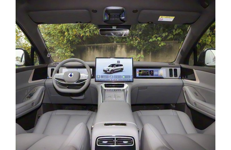 DENZA N8L 230KM FLAGSHIP
